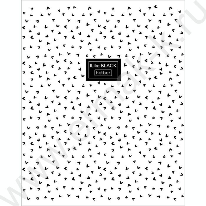 Тетрадь  48л клетка "I Like Black" /мат.лам /5видов | Фото 3