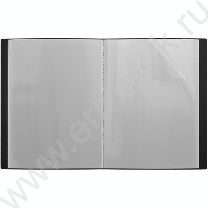 Папка  20 файлов Matt Classic /черная | Фото 2