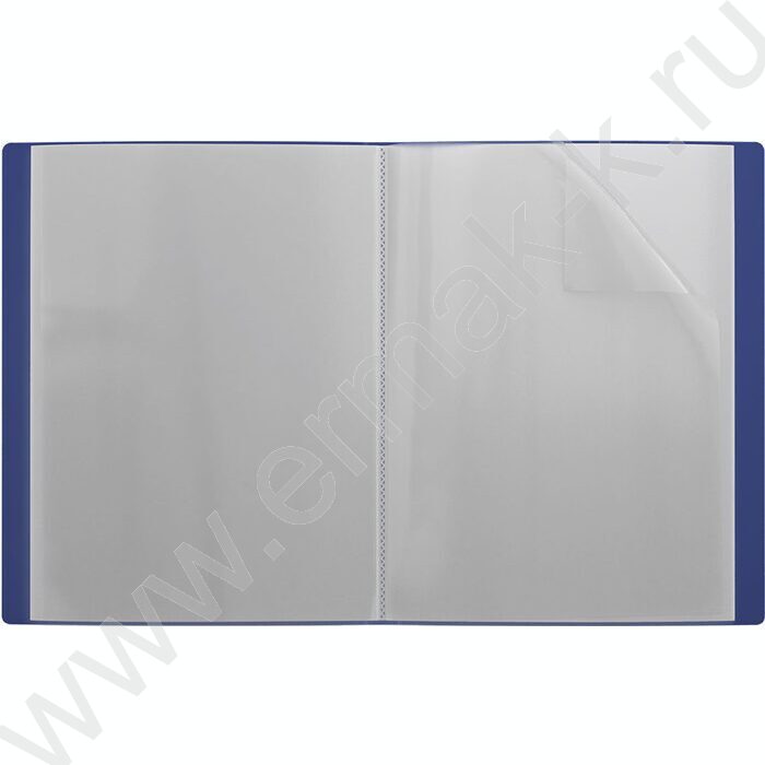 Папка  20 файлов Matt Classic /синяя | Фото 2