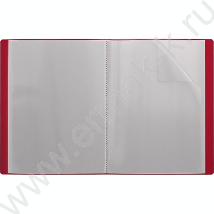 Папка  30 файлов Matt Classic /красная | Фото 2