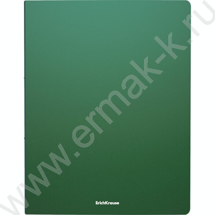 Папка  20 файлов Matt Classic /зеленая | Фото 1