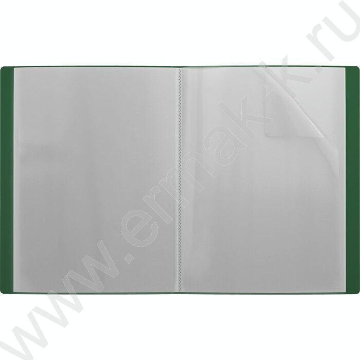 Папка  20 файлов Matt Classic /зеленая | Фото 2