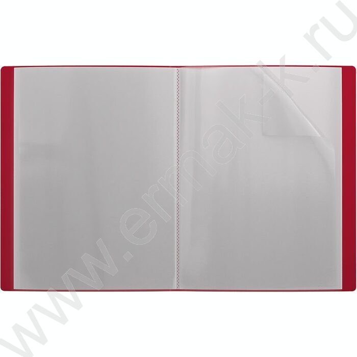 Папка  20 файлов Matt Classic /красная | Фото 2