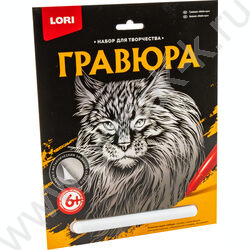 Набор д/творчества Гравюра большая Мейн-кун | Фото 1