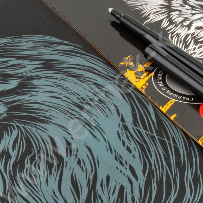 Набор д/творчества Гравюра большая Мейн-кун | Фото 4