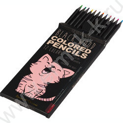 Карандаши пластиковые 12цв BlackWoodColor 4вида | Фото 3