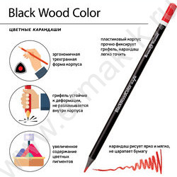 Карандаши пластиковые 12цв BlackWoodColor 4вида | Фото 6