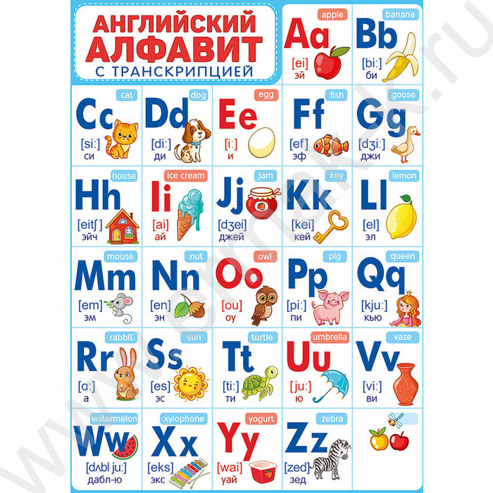 Плакат "Алфавит английский с транскрипцией" А2 | Фото 1