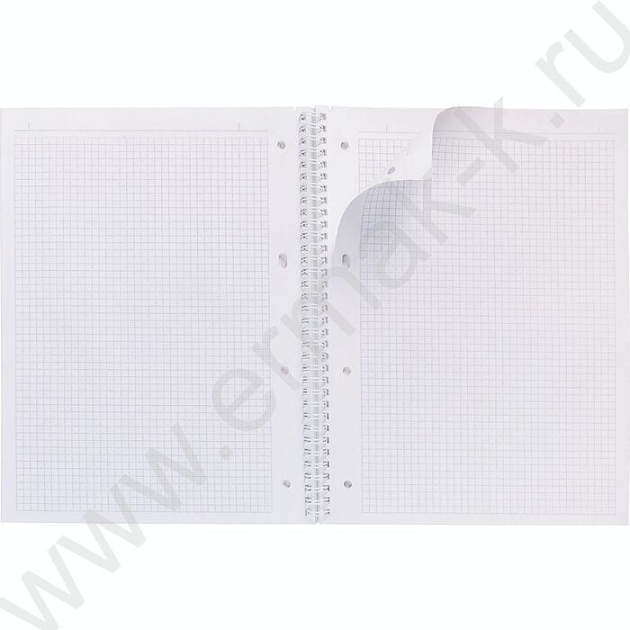 Тетрадь  80л А4 клетка/спираль/многоуров.перфорация "NEWtone PASTEL Пион" | Фото 2