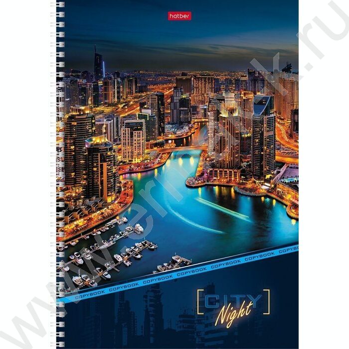 Тетрадь  96л А4 клетка/спираль "Ночной город" /лак/ | Фото 2