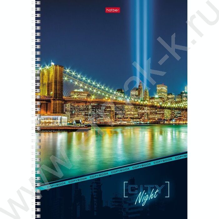 Тетрадь  96л А4 клетка/спираль "Ночной город" /лак/ | Фото 3