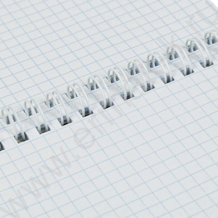 Блокнот  60л А5 спираль "д/Конференций-Серый" | Фото 4