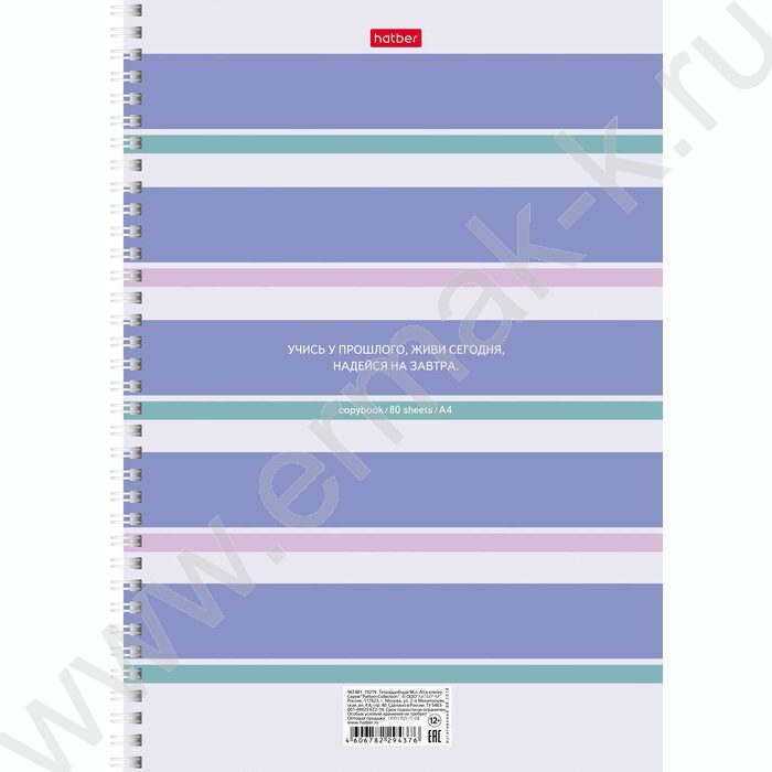 Тетрадь  80л А4 клетка/спираль "Полоски" жесткая подложка | Фото 2