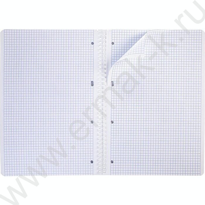 Тетрадь  96л А4 клетка/спираль "Смекалки" 4вида | Фото 5