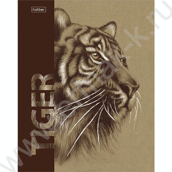 Тетрадь  80л клетка "Дикие животные" /крафт /5видов | Фото 2