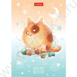 Зап. книжка  24л А6 "Котики бывают разными" линейка | Фото 2