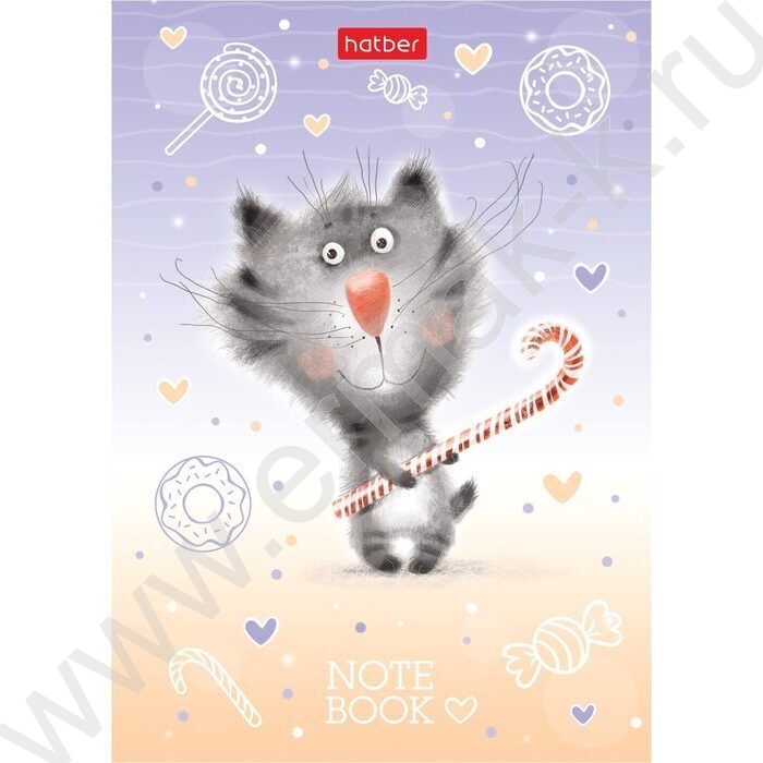 Зап. книжка  24л А6 "Котики бывают разными" линейка | Фото 3