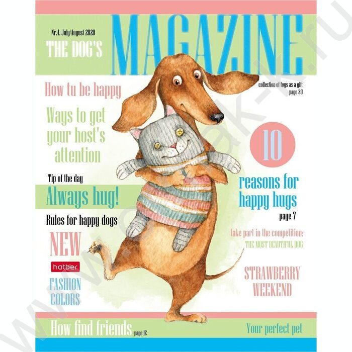 Тетрадь  40л клетка "ТаксаLIFE" ассорти | Фото 1