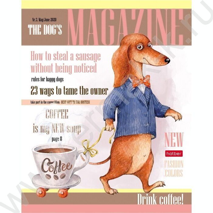 Тетрадь  40л клетка "ТаксаLIFE" ассорти | Фото 2