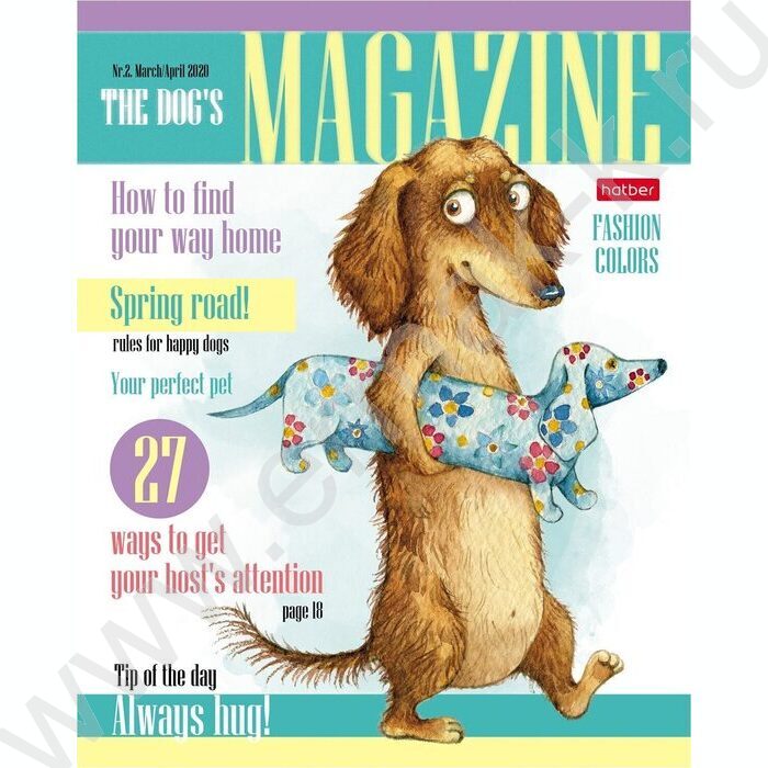 Тетрадь  40л клетка "ТаксаLIFE" ассорти | Фото 3