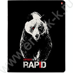 Тетрадь  48л клетка "Rapid" ассорти | Фото 6