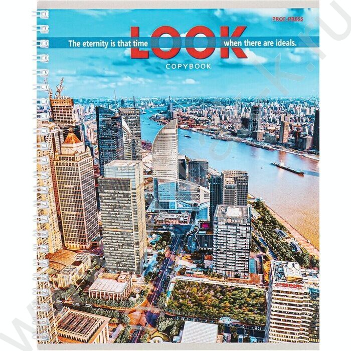 Тетрадь  48л клетка/спираль "Вид на мегаполисы" ассорти | Фото 2