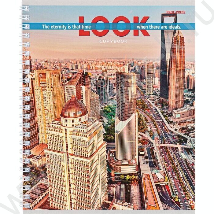 Тетрадь  48л клетка/спираль "Вид на мегаполисы" ассорти | Фото 4