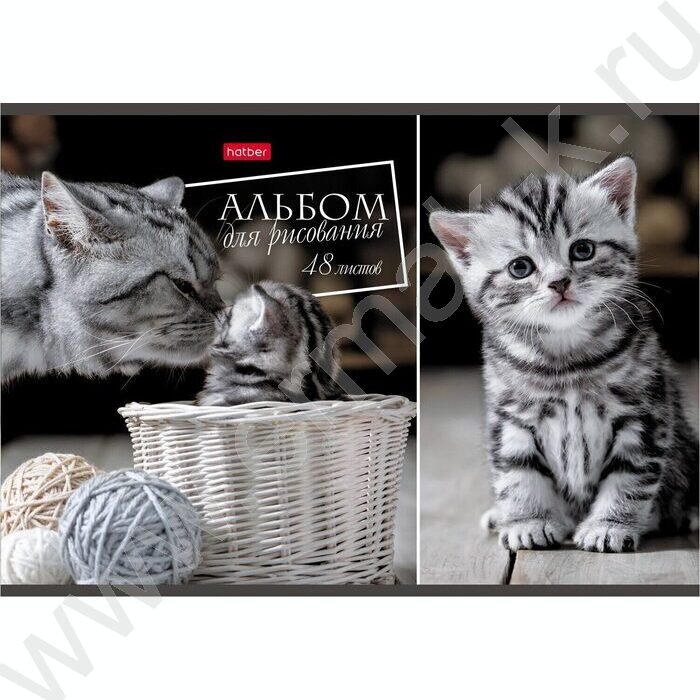 Альбом д/рисования 48л "Ассорти" | Фото 3