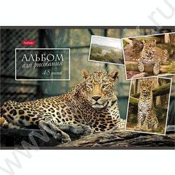 Альбом д/рисования 48л "Ассорти" | Фото 5