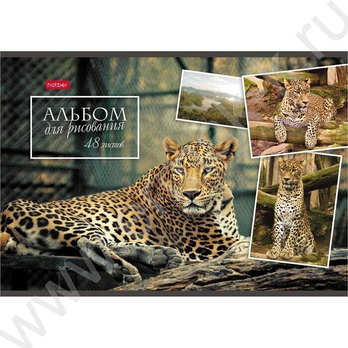 Альбом д/рисования 48л "Ассорти" | Фото 5