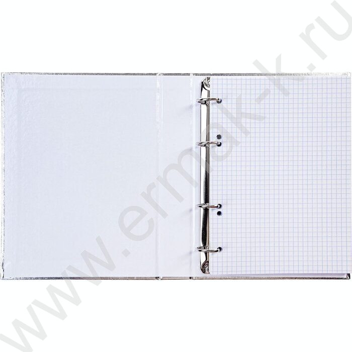 Тетрадь 120л клетка/кольца/бумвинил.обл./ "METALLIC Серебро" | Фото 2