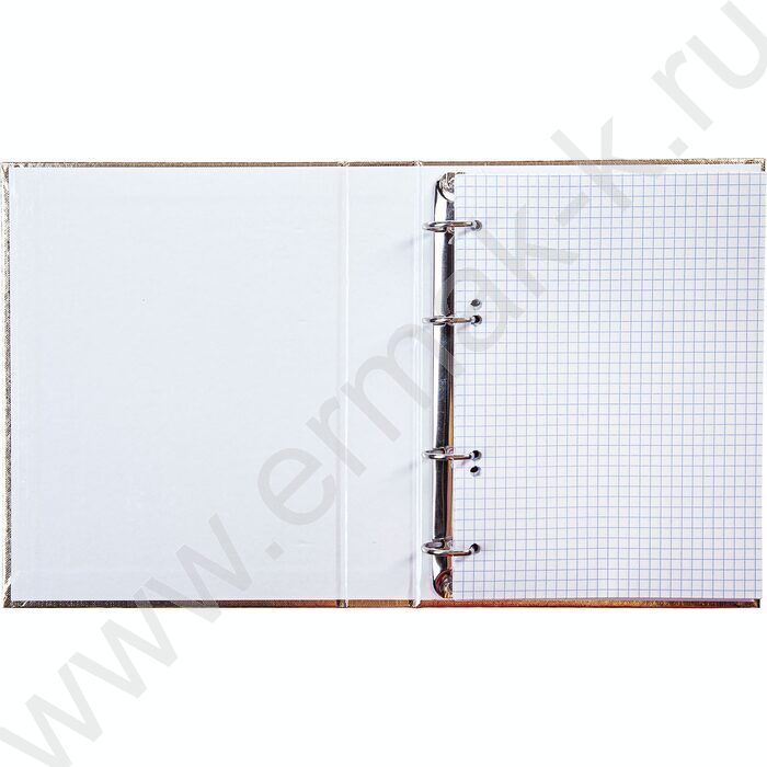 Тетрадь 120л клетка/кольца/бумвинил.обл./ "METALLIC Золото" | Фото 2