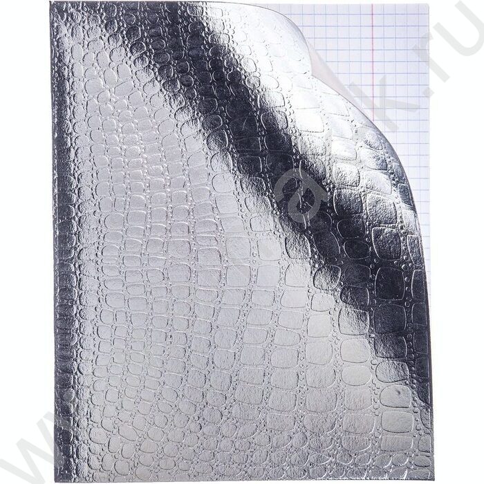 Тетрадь  48л клетка "Бум/винил" METALLIC тиснение CROCO серебро | Фото 2