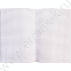 Тетрадь  80л А4 клетка "NEWtone PASTEL Серый жемчуг" /глянец/ | Фото 2