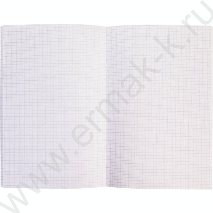 Тетрадь  80л А4 клетка "NEWtone PASTEL Серый жемчуг" /глянец/ | Фото 2
