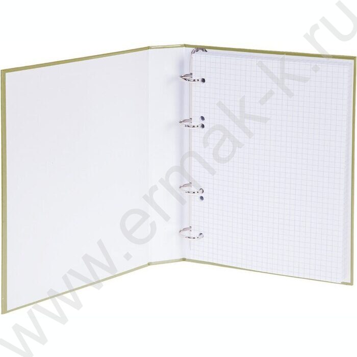 Тетрадь  80л клетка/кольца /смен.блок /глянц.лам/  "NEWtone PASTEL Олива" | Фото 3