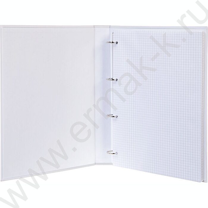 Тетрадь  80л А4 клетка/кольца /глянц.лам/  "NEWtone PASTEL Серый жемчуг" | Фото 2