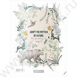 Папка уголок А4 Natural Life /набор 4шт /ассорти | Фото 3