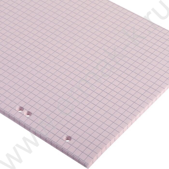 Сменный блок А5  50л  6 отверстий,цветной тониров.блок нежно-розовый Rose | Фото 4