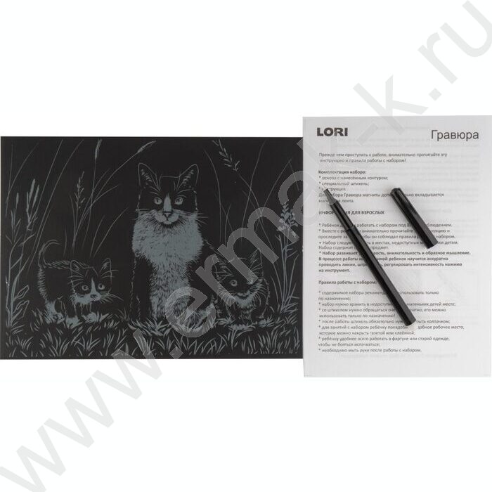 Набор д/творчества Гравюра большая Family Кошки с эффектом серебра | Фото 4