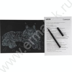 Набор д/творчества Гравюра большая Мейн-кун с эффектом золота | Фото 4