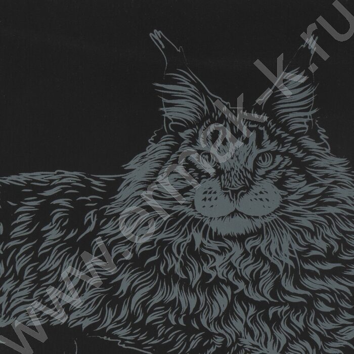 Набор д/творчества Гравюра большая Мейн-кун с эффектом золота | Фото 5