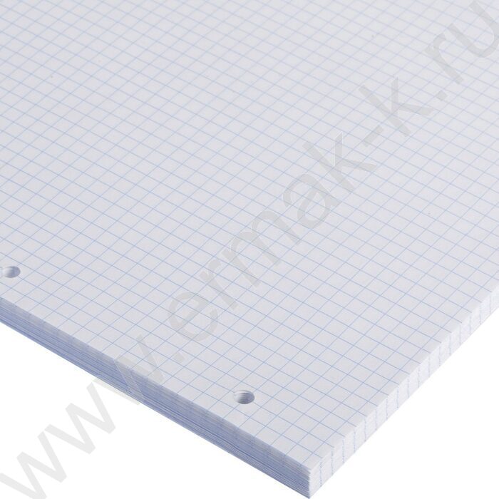 Сменный блок А4  80л    | Фото 4