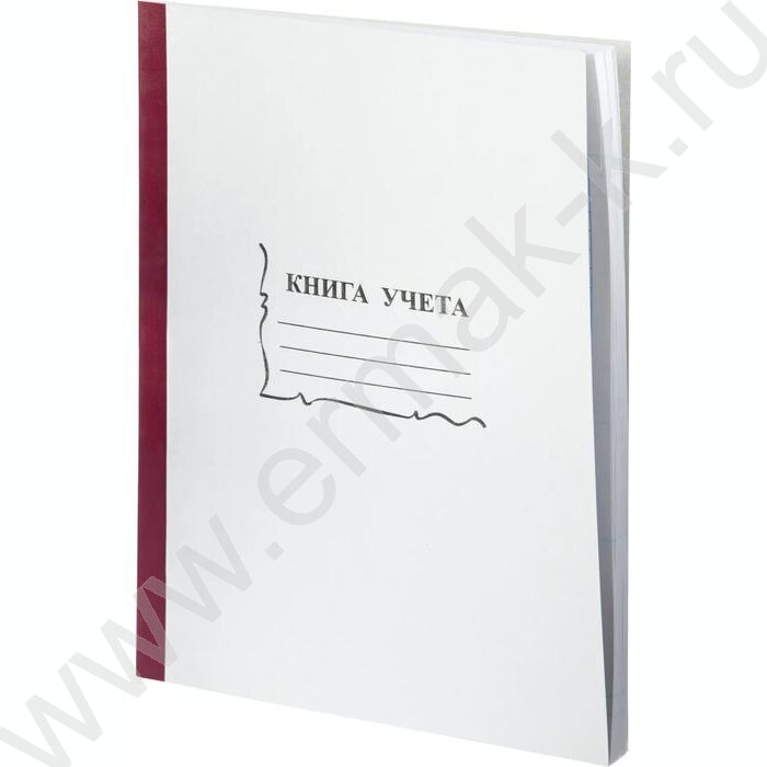Книга Учёта бухгалтерская А4 96л пустографка /тв.обл. из картона + корешок б/вин | Фото 1