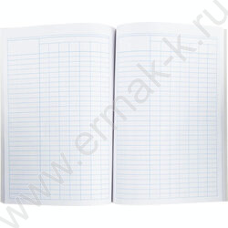 Книга Учёта бухгалтерская А4 96л пустографка /тв.обл. из картона + корешок б/вин | Фото 3