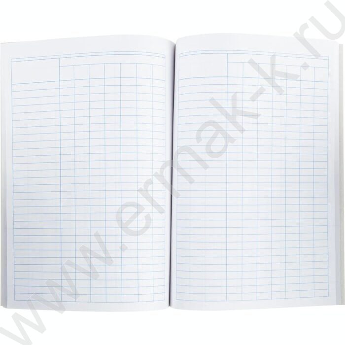 Книга Учёта бухгалтерская А4 96л пустографка /тв.обл. из картона + корешок б/вин | Фото 3