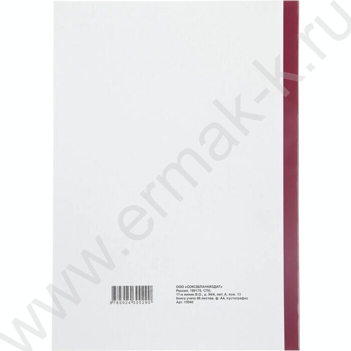 Книга Учёта бухгалтерская А4 96л пустографка /тв.обл. из картона + корешок б/вин | Фото 5