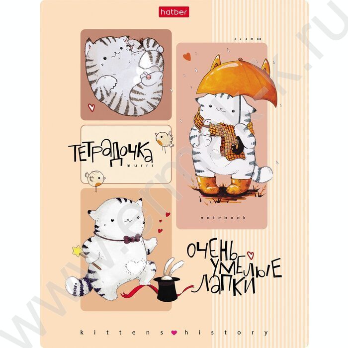 Тетрадь  24л клетка "Приключения кота Пирожка" 5видов | Фото 1