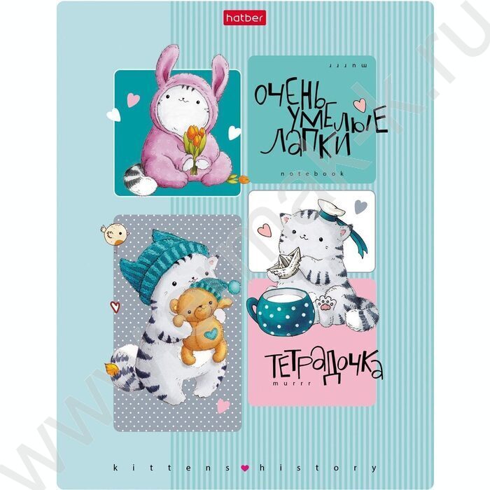 Тетрадь  24л клетка "Приключения кота Пирожка" 5видов | Фото 2