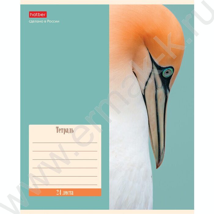 Тетрадь  24л клетка "Nature" 5видов | Фото 3